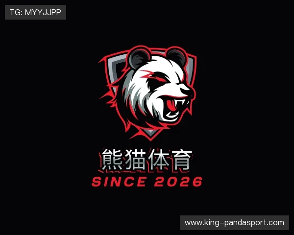 认识熊猫体育团队